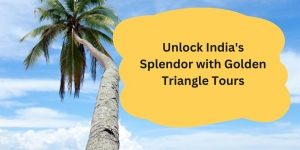 Exploring the Marvels of India: Unveiling the Advantages of Golden Triangle Tours